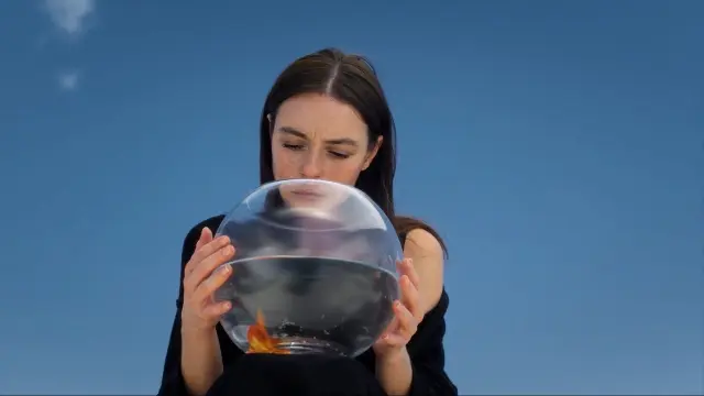 Leyla Hâli izle - HDFilmcehennemi
