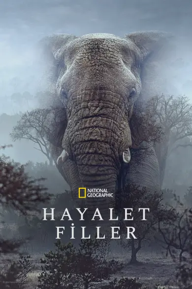 Hayalet Filler izle - HDFilmcehennemi